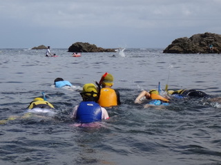 DSC03845.JPG