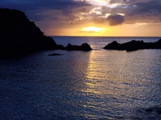 式根島0820写真_9155.jpg