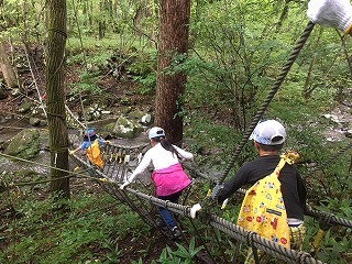 IMG_8476.jpg