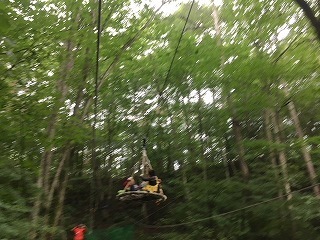 IMG_8499.jpg