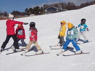 P1130549.jpg