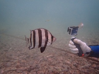 P9241896.jpg