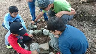 S_4740155145475.jpg
