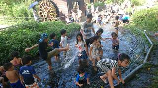 S_4793975992095.jpg