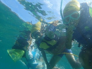 S_8443841971517.jpg