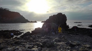S_8449176692631.jpg