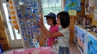 S_8449176717591.jpg