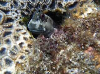 S_8449181435534.jpg