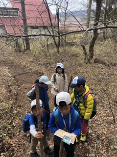 S__59318279.jpg