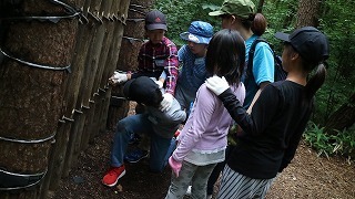s-IMG_0227.jpg