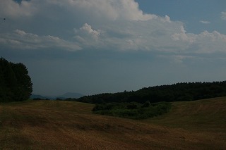 IMG_7892.jpg